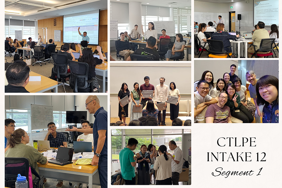 Photo collage of CTLPE Intake 12 Segment 1 showing workshop sessions and group photos.