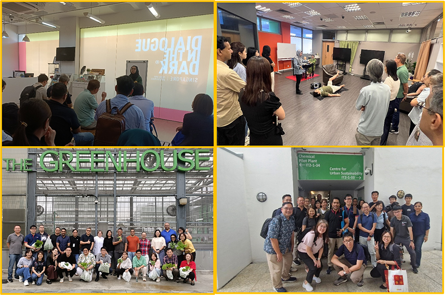 collage of people visiting various locations